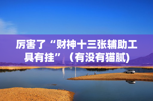 厉害了“财神十三张辅助工具有挂”（有没有猫腻)