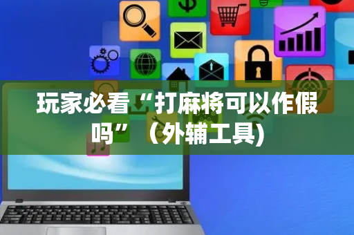 玩家必看“打麻将可以作假吗”（外辅工具)
