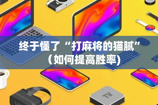 终于懂了“打麻将的猫腻”（如何提高胜率)