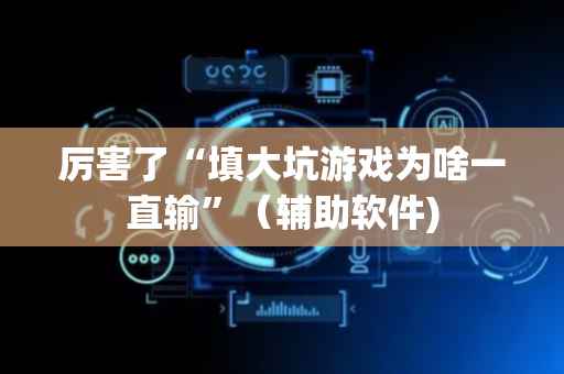 厉害了“填大坑游戏为啥一直输”（辅助软件)