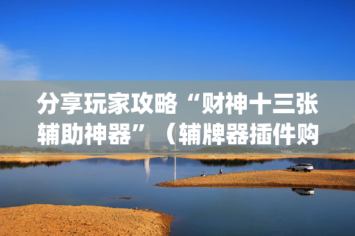 分享玩家攻略“财神十三张辅助神器”（辅牌器插件购买)