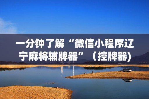 一分钟了解“微信小程序辽宁麻将辅牌器”（控牌器)