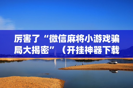 厉害了“微信麻将小游戏骗局大揭密”（开挂神器下载)