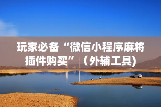 玩家必备“微信小程序麻将插件购买”（外辅工具)