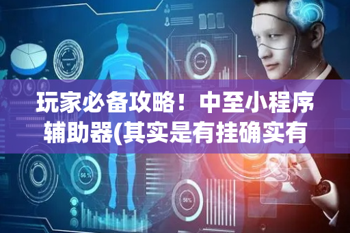 玩家必备攻略！中至小程序辅助器(其实是有挂确实有挂)