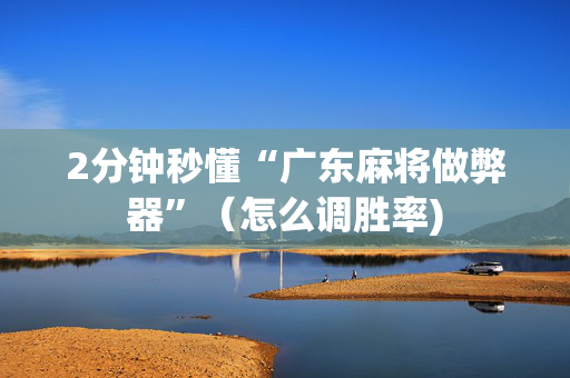 2分钟秒懂“广东麻将做弊器”（怎么调胜率)