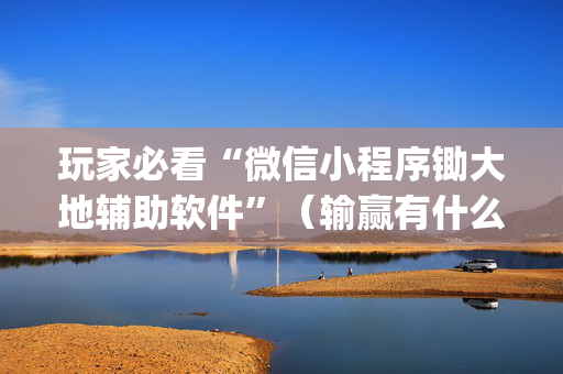 玩家必看“微信小程序锄大地辅助软件”（输赢有什么规律)