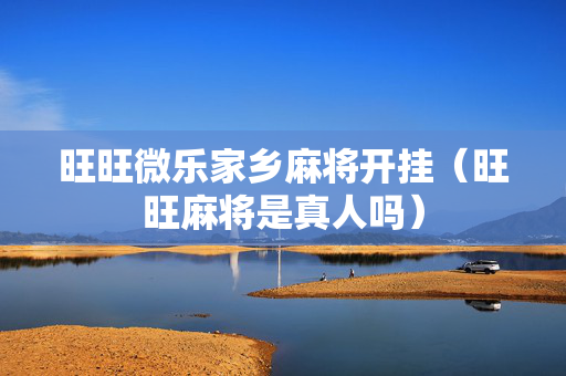 旺旺微乐家乡麻将开挂（旺旺麻将是真人吗）