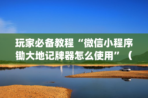 玩家必备教程“微信小程序锄大地记牌器怎么使用”（攻略插件)