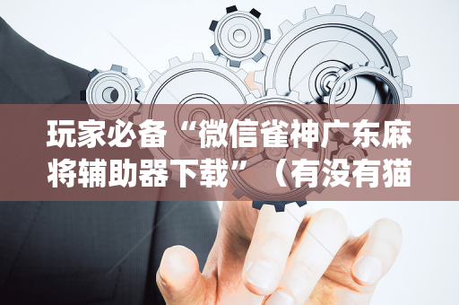玩家必备“微信雀神广东麻将辅助器下载”（有没有猫腻)