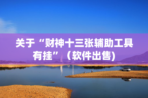关于“财神十三张辅助工具有挂”（软件出售)