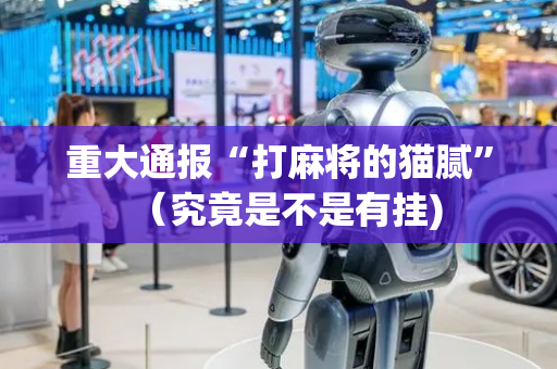 重大通报“打麻将的猫腻”（究竟是不是有挂)