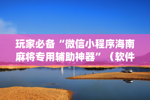 玩家必备“微信小程序海南麻将专用辅助神器”（软件出售)