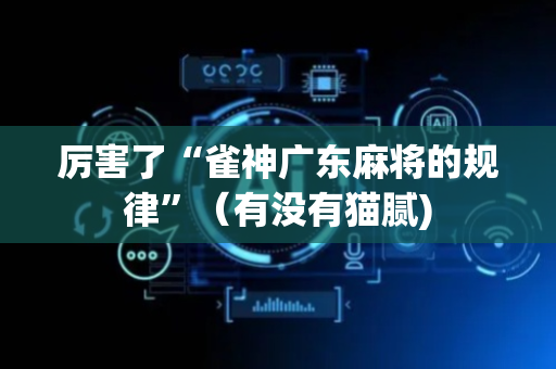 厉害了“雀神广东麻将的规律”（有没有猫腻)
