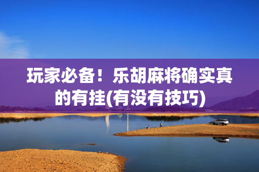 玩家必备！乐胡麻将确实真的有挂(有没有技巧)