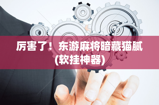 厉害了！东游麻将暗藏猫腻(软挂神器)