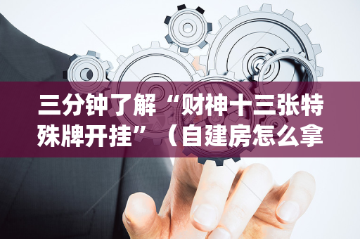 三分钟了解“财神十三张特殊牌开挂”（自建房怎么拿好牌)