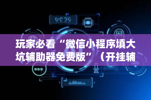 玩家必看“微信小程序填大坑辅助器免费版”（开挂辅助器插件)