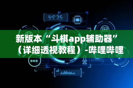 新版本“斗棋app辅助器”（详细透视教程）-哔哩哔哩
