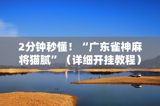 2分钟秒懂！“广东雀神麻将猫腻”（详细开挂教程）-哔哩哔哩