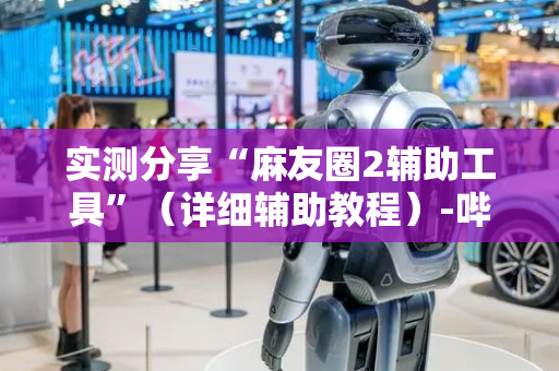 实测分享“麻友圈2辅助工具”（详细辅助教程）-哔哩哔哩