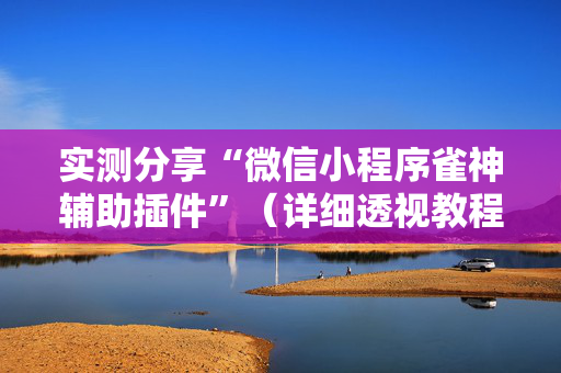 实测分享“微信小程序雀神辅助插件”（详细透视教程）-哔哩哔哩