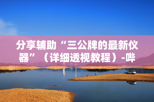 分享辅助“三公牌的最新仪器”（详细透视教程）-哔哩哔哩