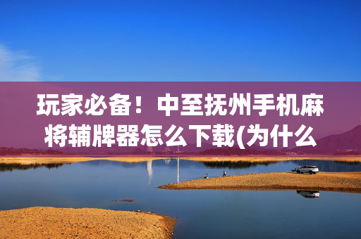 玩家必备！中至抚州手机麻将辅牌器怎么下载(为什么老是输)