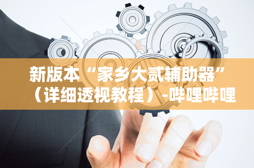 新版本“家乡大贰辅助器”（详细透视教程）-哔哩哔哩