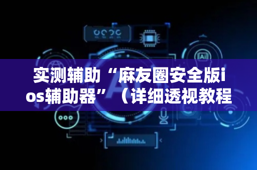 实测辅助“麻友圈安全版ios辅助器”（详细透视教程）-哔哩哔哩