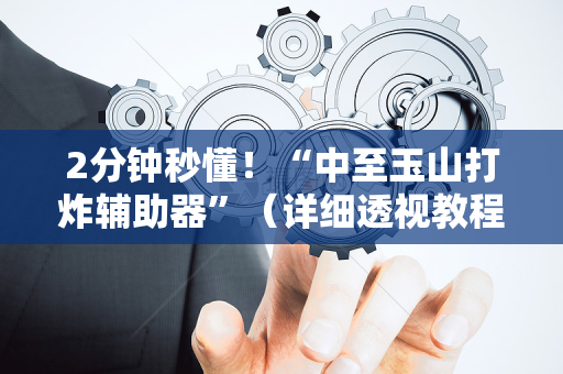 2分钟秒懂！“中至玉山打炸辅助器”（详细透视教程）-哔哩哔哩