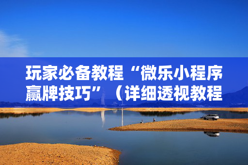 玩家必备教程“微乐小程序赢牌技巧”（详细透视教程）-哔哩哔哩