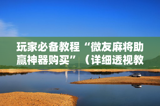 玩家必备教程“微友麻将助赢神器购买”（详细透视教程）-哔哩哔哩