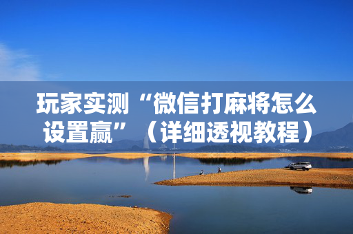 玩家实测“微信打麻将怎么设置赢”（详细透视教程）-哔哩哔哩