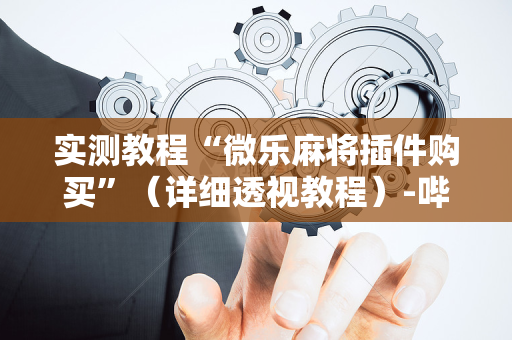实测教程“微乐麻将插件购买”（详细透视教程）-哔哩哔哩