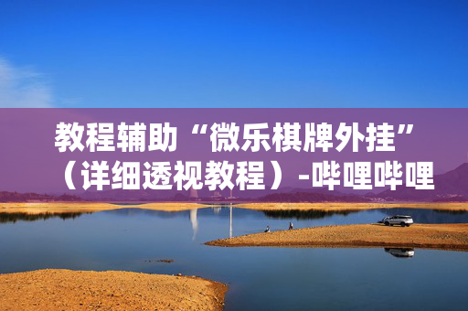 教程辅助“微乐棋牌外挂”（详细透视教程）-哔哩哔哩