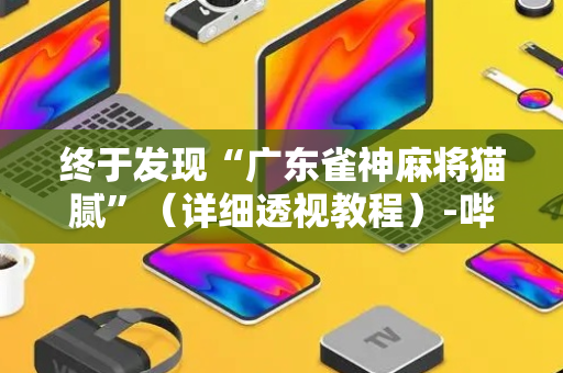 终于发现“广东雀神麻将猫腻”（详细透视教程）-哔哩哔哩