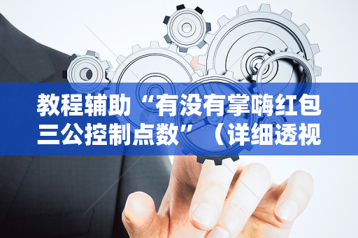 教程辅助“有没有掌嗨红包三公控制点数”（详细透视教程）-哔哩哔哩