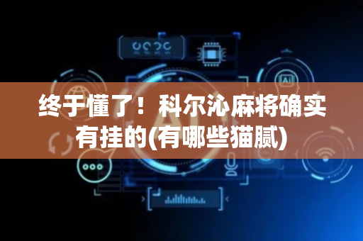 终于懂了！科尔沁麻将确实有挂的(有哪些猫腻)