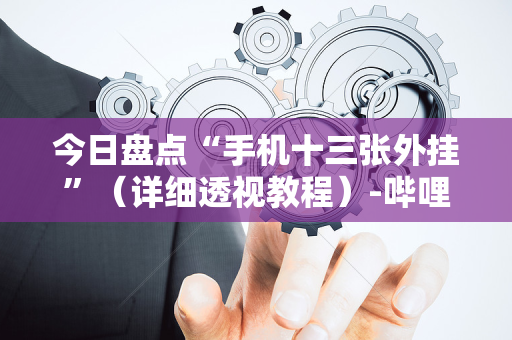 今日盘点“手机十三张外挂”（详细透视教程）-哔哩哔哩