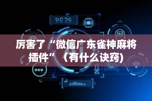 厉害了“微信广东雀神麻将插件”（有什么诀窍)
