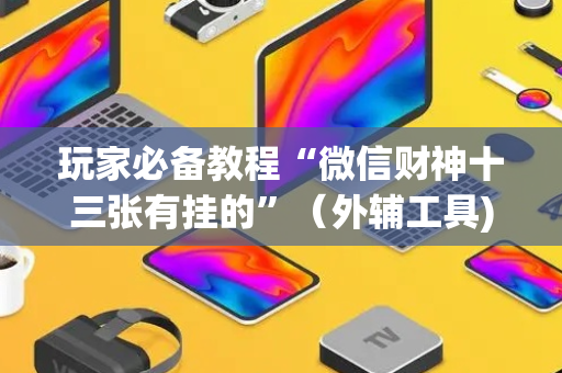 玩家必备教程“微信财神十三张有挂的”（外辅工具)