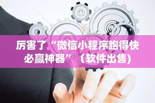 厉害了“微信小程序跑得快必赢神器”（软件出售)