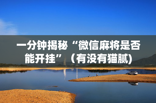一分钟揭秘“微信麻将是否能开挂”（有没有猫腻)