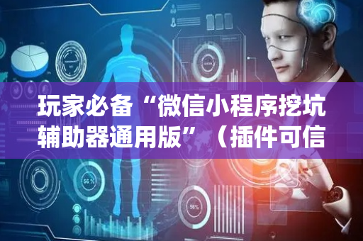 玩家必备“微信小程序挖坑辅助器通用版”（插件可信吗)