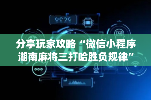 分享玩家攻略“微信小程序湖南麻将三打哈胜负规律”（辅助器通用版)