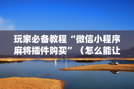 玩家必备教程“微信小程序麻将插件购买”（怎么能让牌好一点)