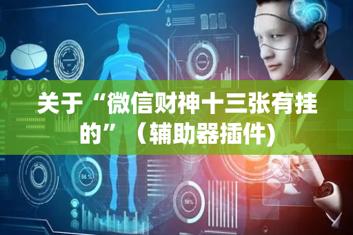 关于“微信财神十三张有挂的”（辅助器插件)