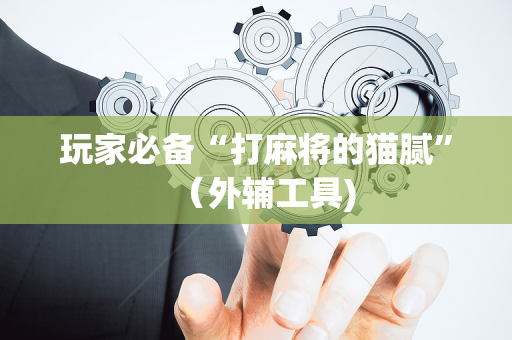 玩家必备“打麻将的猫腻”（外辅工具)
