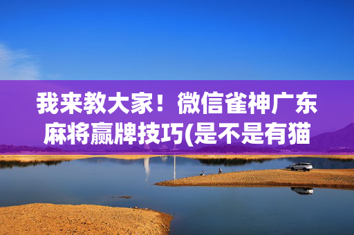 我来教大家！微信雀神广东麻将赢牌技巧(是不是有猫腻)
